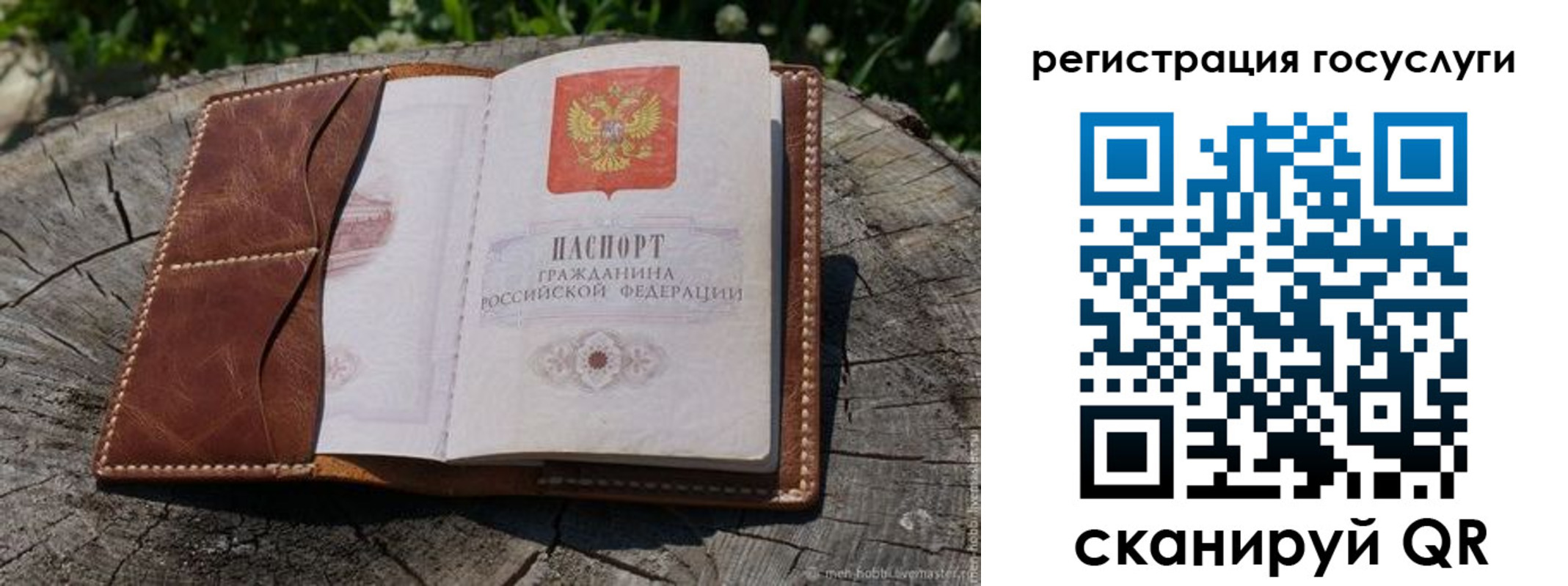 временная регистрация надежно в Ростовской области